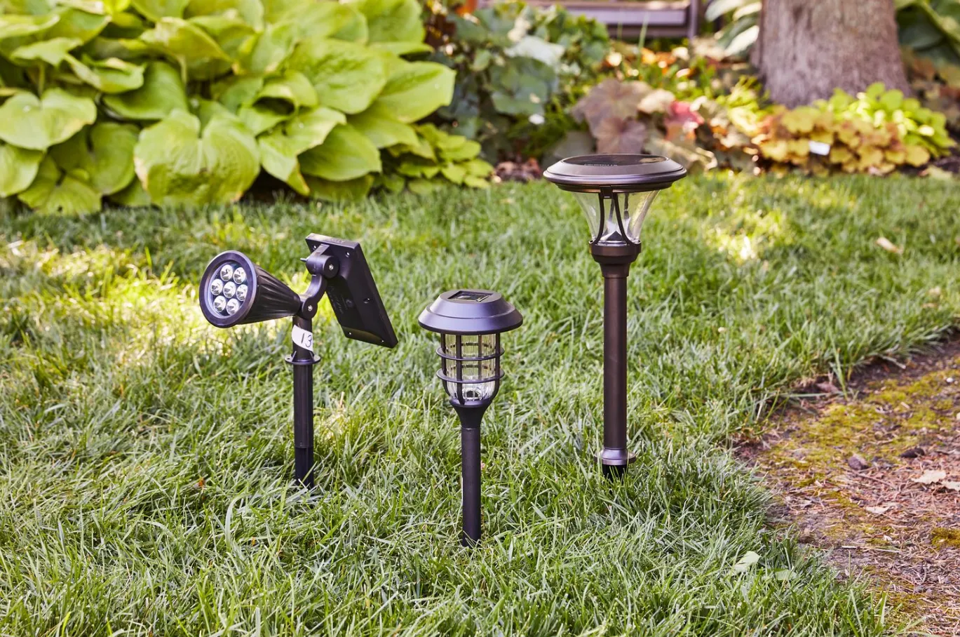 Best Solar-Powered Lights and Lamps for Home and Garden