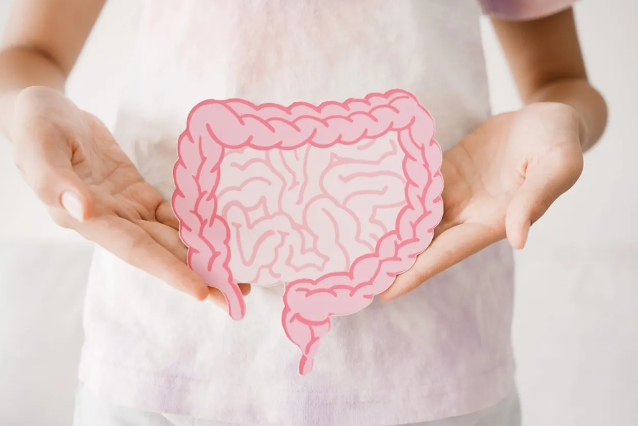 Gut Health Made Simple Daily Habits for a Happier, Healthier You